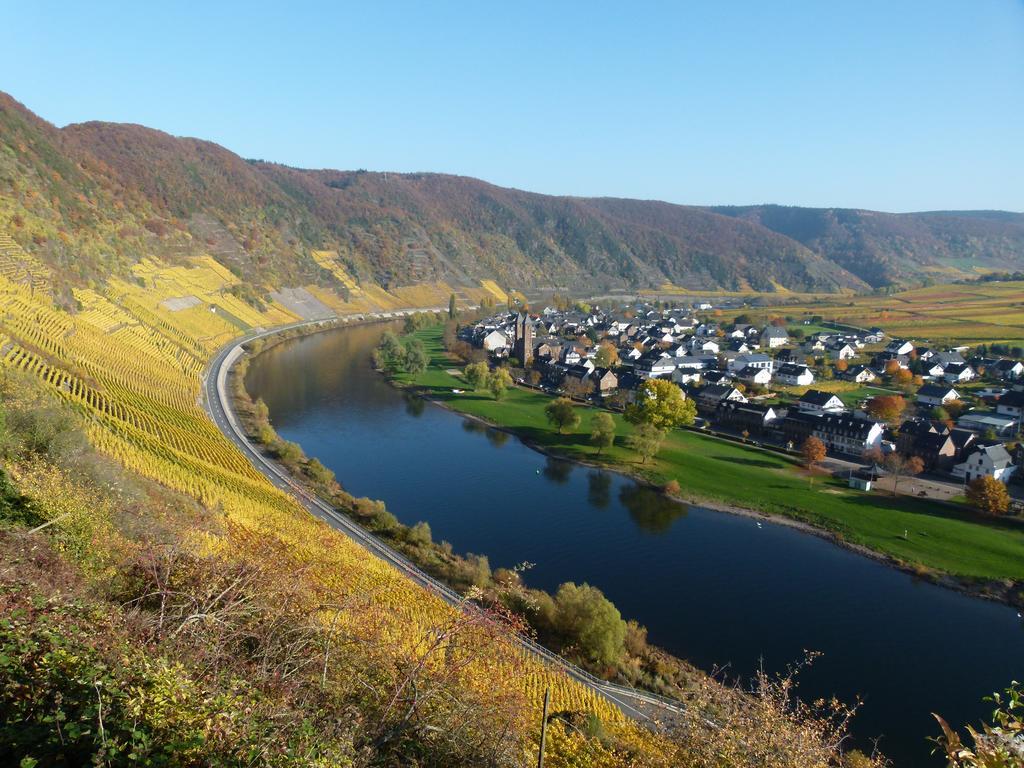Отель Ferienweingut Rudorfer Фальвиг Экстерьер фото